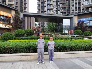 御錦城九龍灣小區荃芬除甲醛施工案例